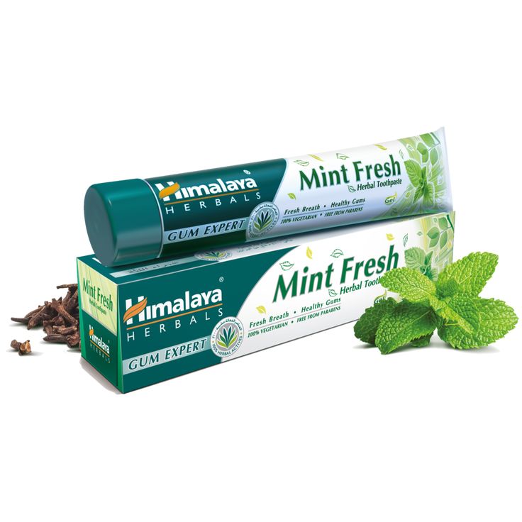 Toothpaste Mint Fresh 100g